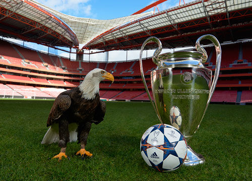 济州SK官方：任命前韩国国家队助教科斯塔为球队新帅（济州SK官宣：前韩国国家队助教科斯塔出任新任主教练）